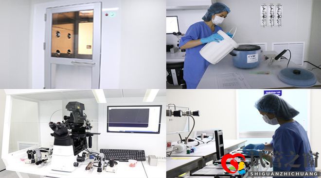 國內試管嬰兒醫院排名終于刷新了(圖2) 國內試管嬰兒醫院排名終于刷新了(圖2)