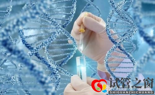 做試管嬰兒的全過程做三代試管嬰兒預備10萬夠不夠(圖4)