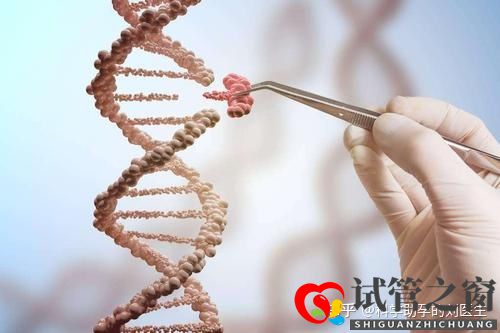 做試管嬰兒的全過程做三代試管嬰兒預備10萬夠不夠(圖6)