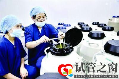 做試管嬰兒的全過程做三代試管嬰兒預備10萬夠不夠(圖11)