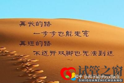 做試管嬰兒的全過程做三代試管嬰兒預備10萬夠不夠(圖13)