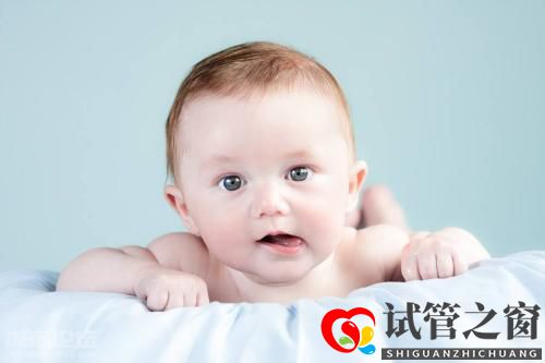 試管之窗:做試管嬰兒促排期間的常見問題(圖2) 試管之窗:做試管嬰兒促排期間的常見問題(圖2)