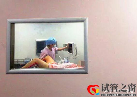 直擊試管嬰兒的過程(圖4) 直擊試管嬰兒的過程(圖4)