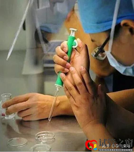 直擊試管嬰兒的過程(圖7) 直擊試管嬰兒的過程(圖7)