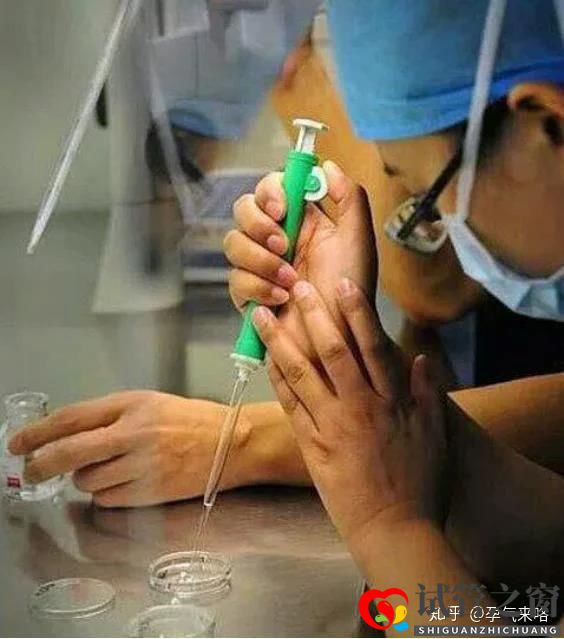 直擊試管嬰兒的過程(圖8)