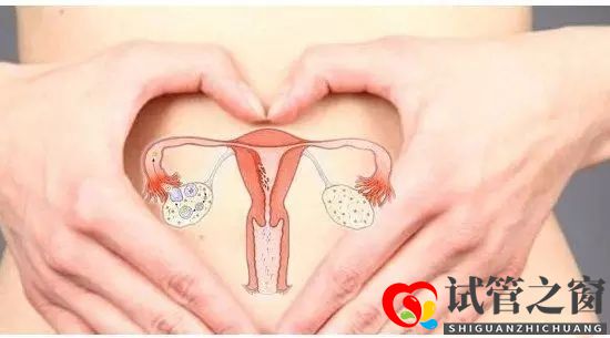 做試管嬰兒卵泡少能成功嗎？(圖2)