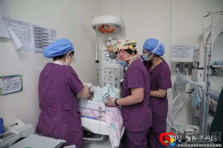 成都試管成功率最高的醫院(圖1)