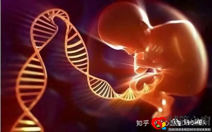 卵巢早衰做試管嬰兒的成功率(圖2) 卵巢早衰做試管嬰兒的成功率(圖2)