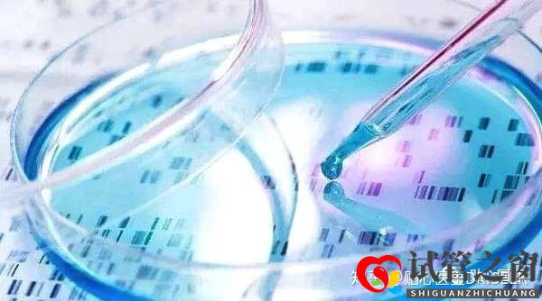 卵巢早衰做試管嬰兒的成功率(圖3) 卵巢早衰做試管嬰兒的成功率(圖3)