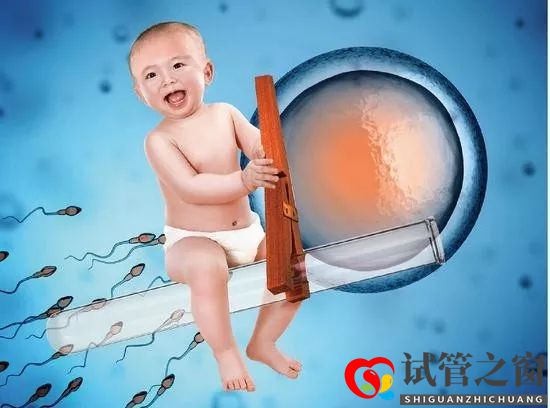 試管嬰兒一個周期大概多長時間及需要多少錢?(圖2) 試管嬰兒一個周期大概多長時間及需要多少錢?(圖2)