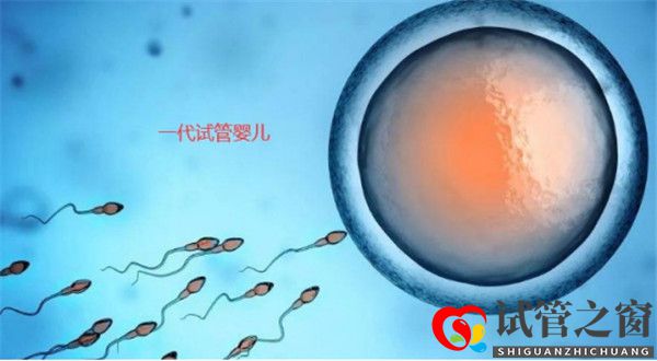 試管嬰兒分為幾大類各類試管嬰兒的適應癥分別有哪些(圖1) 試管嬰兒分為幾大類各類試管嬰兒的適應癥分別有哪些(圖1)