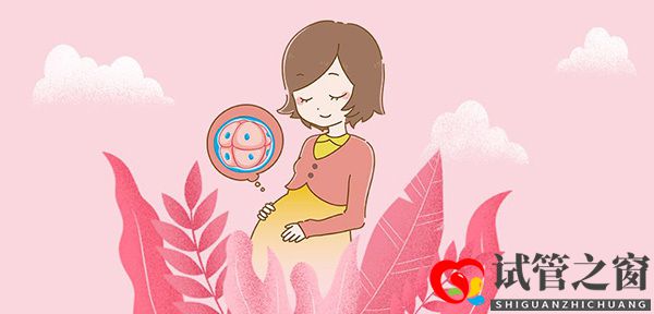 試管嬰兒助孕的八大詳情流程(圖1) 試管嬰兒助孕的八大詳情流程(圖1)