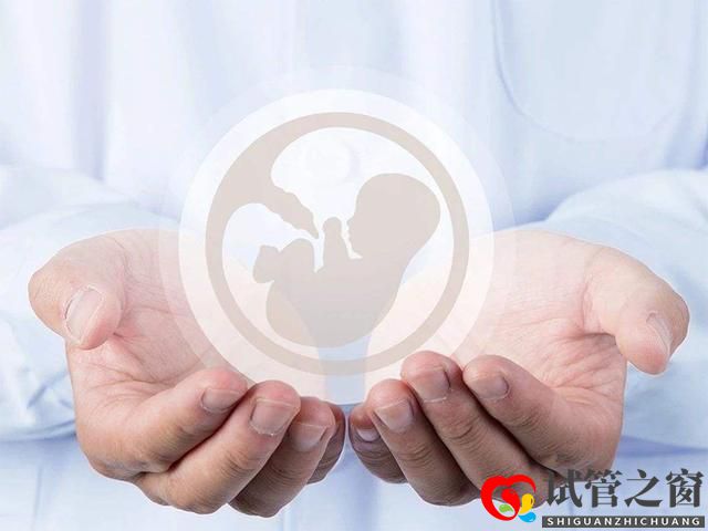 試管嬰兒容易做嗎？成功的概率高嗎？？有此打算的美女看過(guò)來(lái)(圖1)