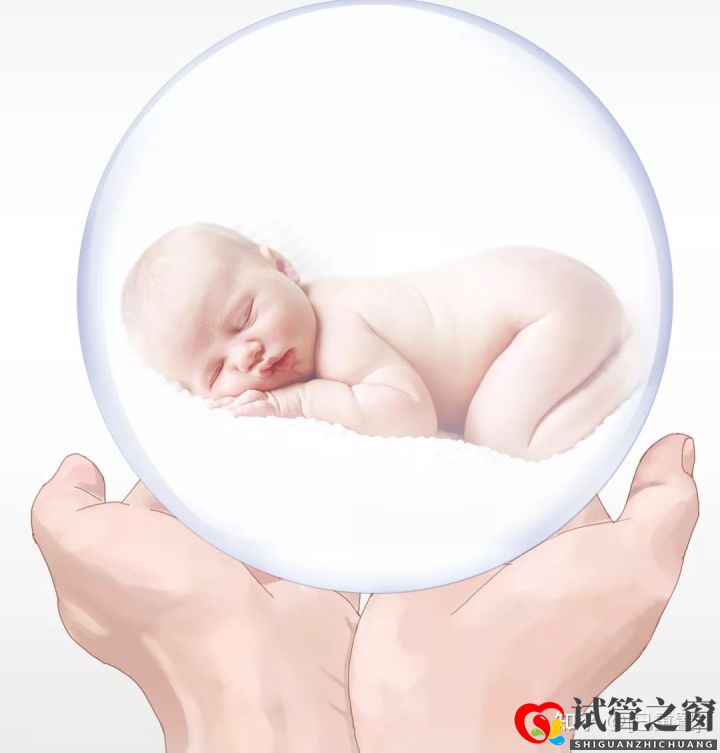 試管嬰兒總費用多少(圖2)