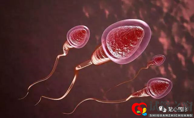 男性不育做試管嬰兒有希望當(dāng)爸爸嗎？(圖1)