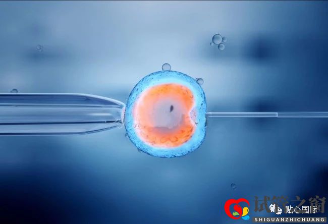 做試管嬰兒,我的成功率是多少?(圖1) 做試管嬰兒,我的成功率是多少?(圖1)