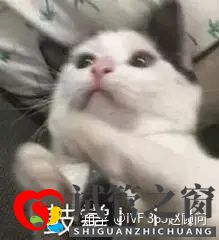 1代、2代、3代試管,有什么區(qū)別(圖9) 1代、2代、3代試管,有什么區(qū)別(圖9)