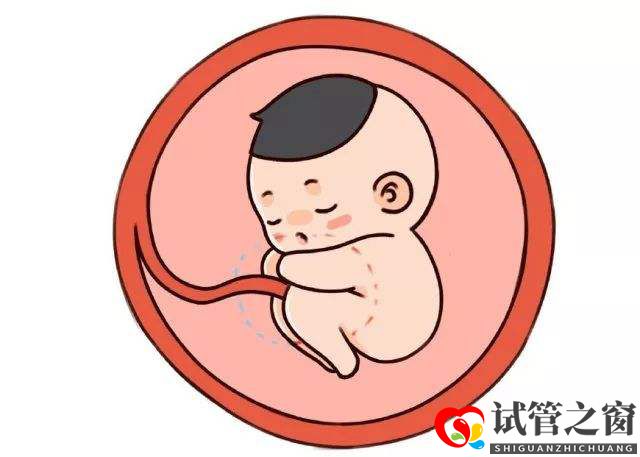 37歲還能做試管嬰兒，能成功懷上寶寶嗎？(圖2)