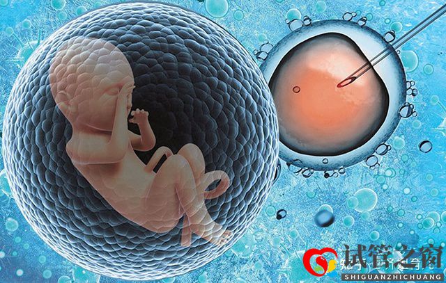 6年試管經歷告誡女性別輕易做試管嬰兒(圖1)