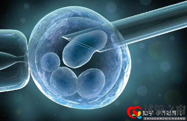 6年試管經歷告誡女性別輕易做試管嬰兒(圖6)