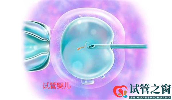 6次試管嬰兒失敗，想放棄，如果沒有孩子會怎么樣呢(圖1)