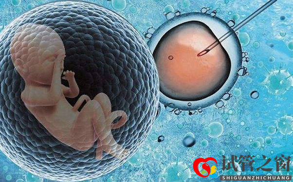 203040歲的女性做試管,成功率有多少?(圖1) 203040歲的女性做試管,成功率有多少?(圖1)