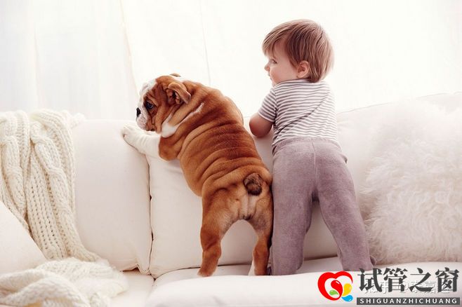 40歲做試管嬰兒生三胎,需要做足哪些準備(圖2)