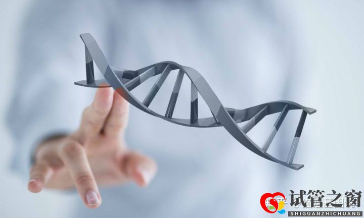 試管之窗:2022年,醫療級基因檢測結果會更準確嗎(圖3) 試管之窗:2022年,醫療級基因檢測結果會更準確嗎(圖3)