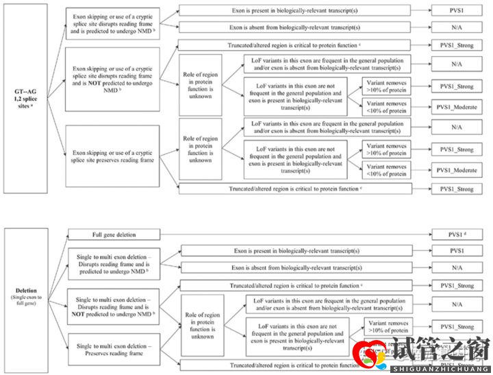 試管之窗:2022年,醫療級基因檢測結果會更準確嗎(圖13) 試管之窗:2022年,醫療級基因檢測結果會更準確嗎(圖13)