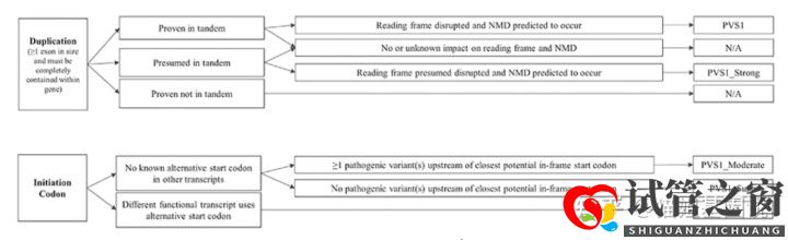 試管之窗:2022年,醫療級基因檢測結果會更準確嗎(圖15) 試管之窗:2022年,醫療級基因檢測結果會更準確嗎(圖15)