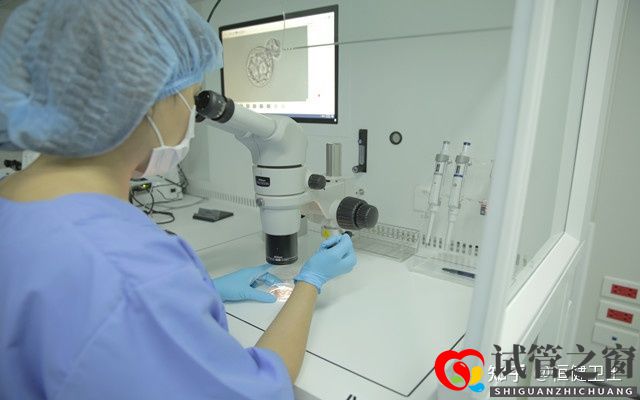 試管之窗:2022三代試管費用明細有哪些如何省錢(圖2) 試管之窗:2022三代試管費用明細有哪些如何省錢(圖2)