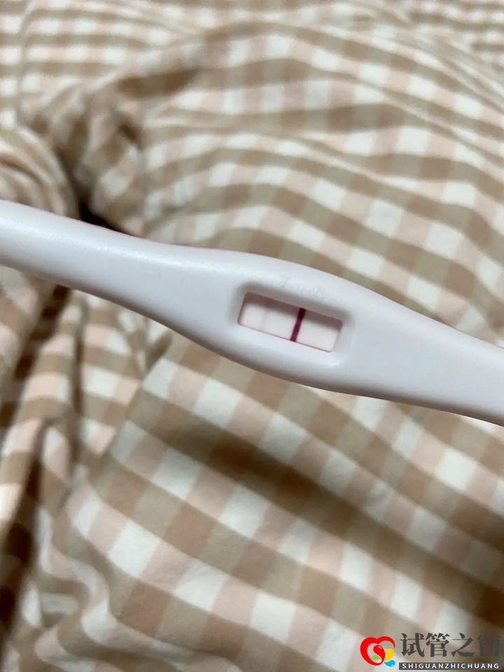 歷時大半年成功懷孕,分享一下我從做(圖2)