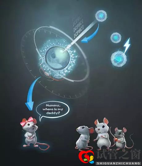 兩個卵子也能繁殖后代雄性難道已多余(圖1)