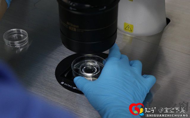 柳州三代試管嬰兒醫院費用貴嗎(圖1) 柳州三代試管嬰兒醫院費用貴嗎(圖1)