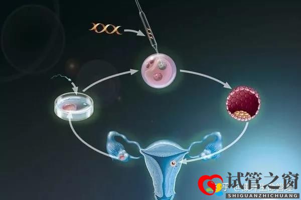 你要的試管嬰兒流程時間表在這里!(圖3) 你要的試管嬰兒流程時間表在這里!(圖3)