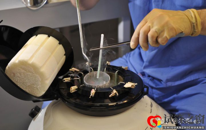 試管嬰兒最詳細分步指南(圖7)