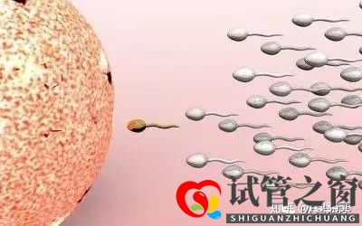 試管多次失敗 這些原因你找到了嗎(圖4)