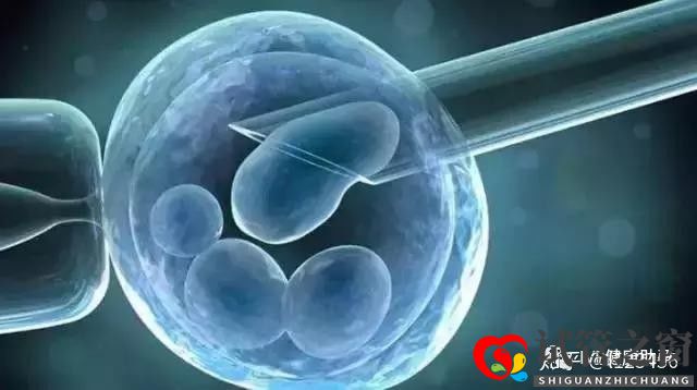 試管多次失敗 這些原因你找到了嗎(圖8)