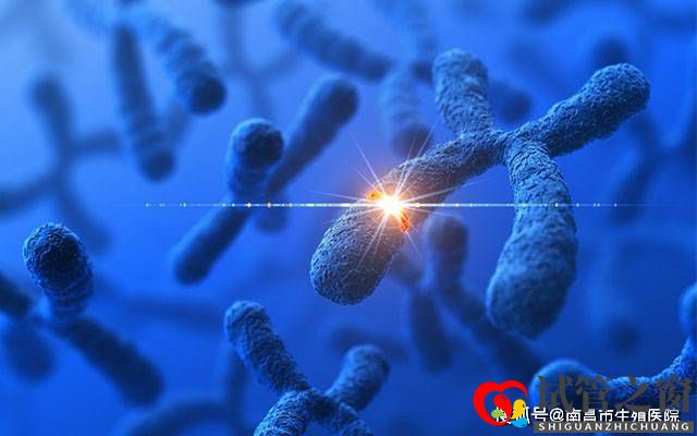 檢查出染色體異常還能要孩子嗎?染色體異常能做試管嬰兒嗎?(圖1) 檢查出染色體異常還能要孩子嗎?染色體異常能做試管嬰兒嗎?(圖1)