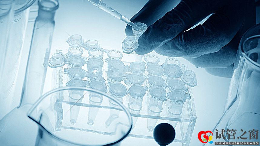 試管嬰兒移植后打黃體酮針(子宮內(nèi)膜厚度多少正常)(圖1) 試管嬰兒移植后打黃體酮針(子宮內(nèi)膜厚度多少正常)(圖1)