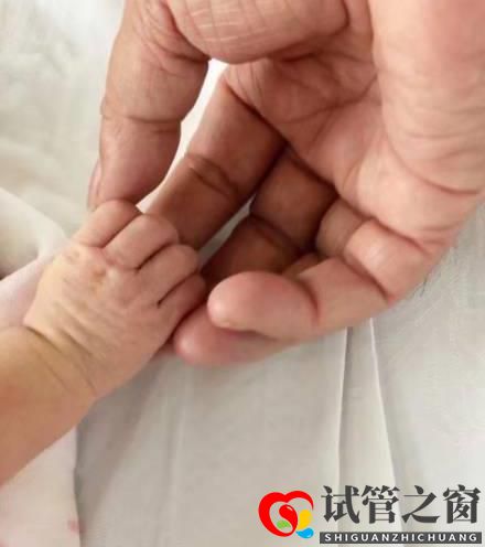 他是知名大導(dǎo)演,妻子為其3次試管取70顆卵子,今年近百歲成人生贏家(圖7) 他是知名大導(dǎo)演,妻子為其3次試管取70顆卵子,今年近百歲成人生贏家(圖7)