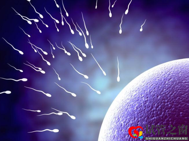 做試管精子質(zhì)量差需要調(diào)理