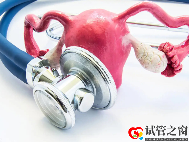 始基子宮可以進行手術治療