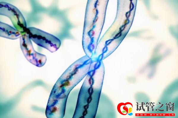 染色體數(shù)目和結(jié)構(gòu)可看是否正常