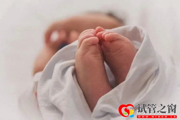 卵巢早衰人群如何提高試管成功率三大秘籍幫助您!(圖1) 卵巢早衰人群如何提高試管成功率三大秘籍幫助您!(圖1)