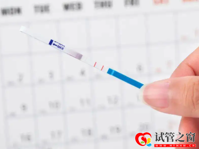 排卵期同房懷孕幾率大