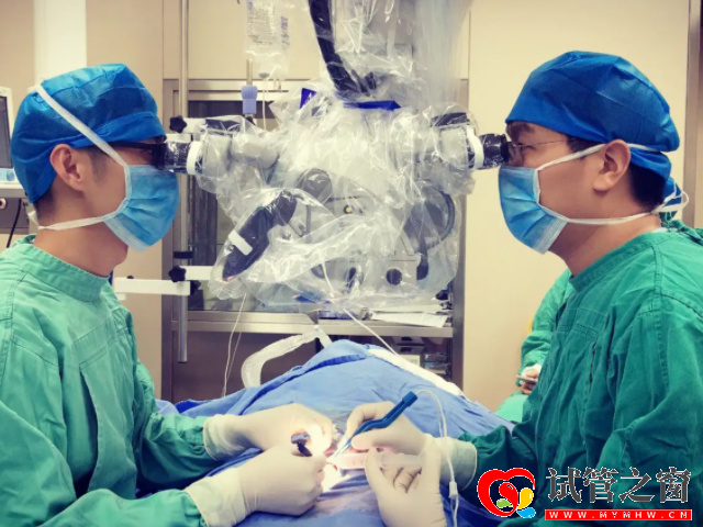 睪丸穿刺手術(shù)