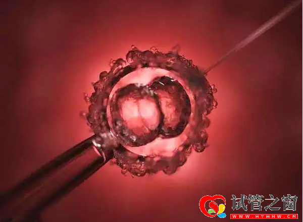 卵泡發(fā)育至成熟就會(huì)排出