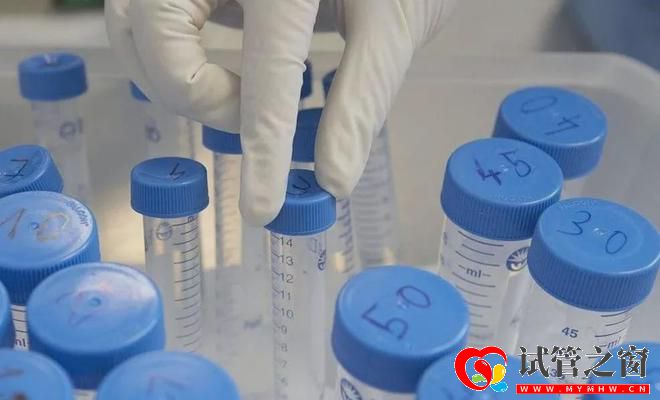 性別鑒定、包生男女三代試管「亂象」緣何產生(圖3) 性別鑒定、包生男女三代試管「亂象」緣何產生(圖3)