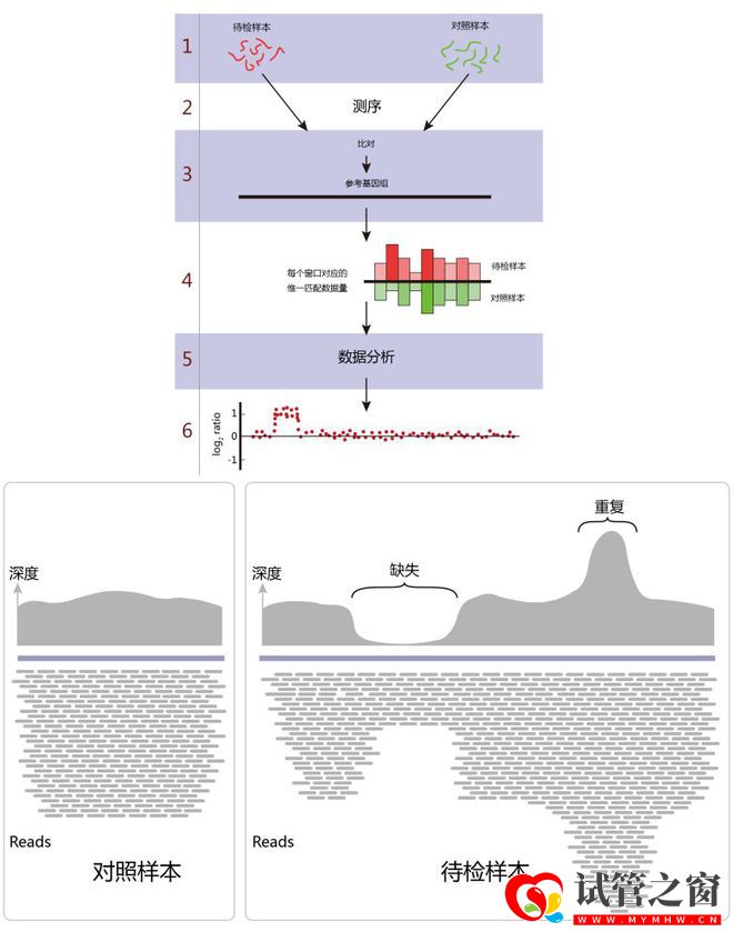 國內首個三代試管創新產品獲批上市,胚胎領域黑科技到底牛在哪(圖2)